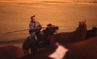 MongoliaDV007