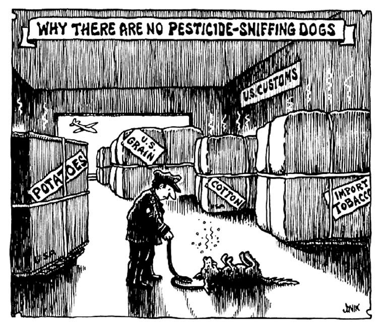 Pesticide Dogs