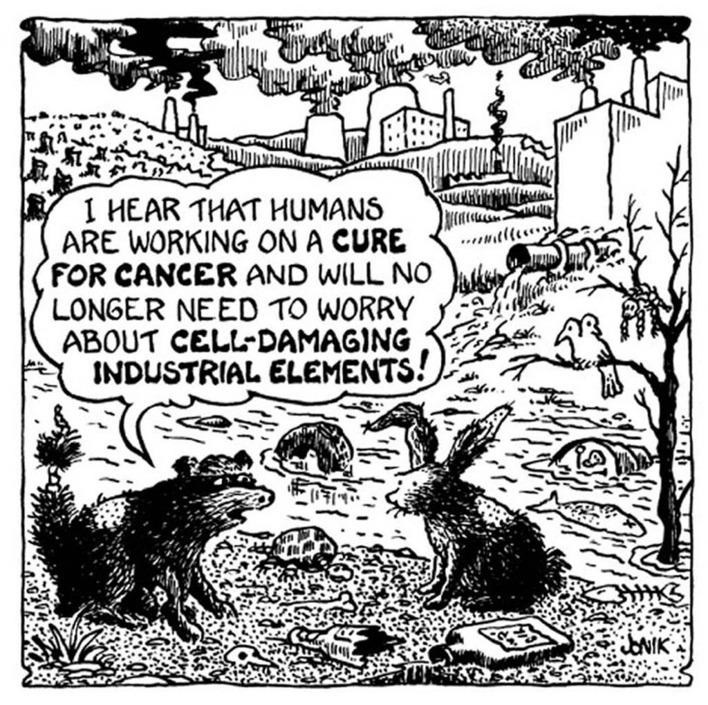 Animals Cancer Cure
