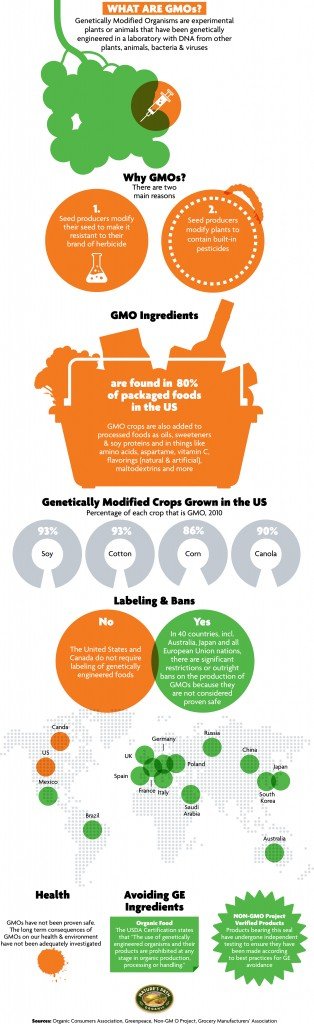 GMO Infographic Hi-Res