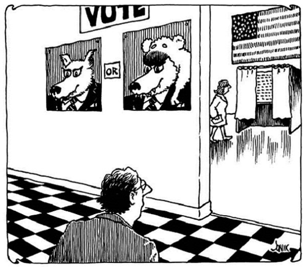 Vote Wolves