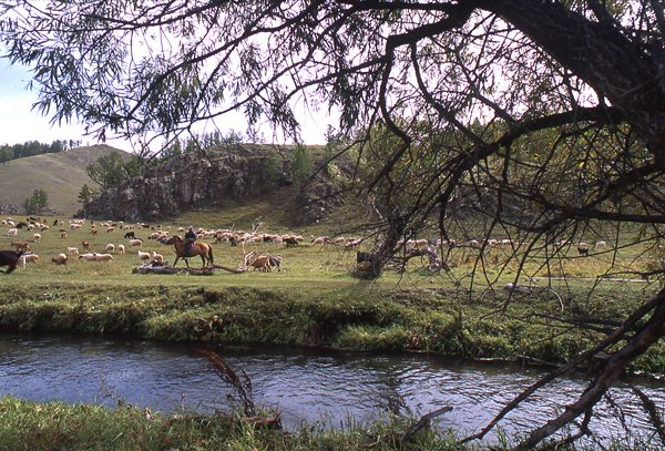 Pristine rivers in Mongolia have been diverted and polluted with cyanide and sulfuric acid, with radioactive tailings, and other mining related contaminants. Photo c. keith harmon snow, 2008.