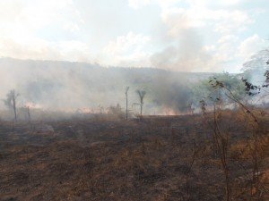 A routine picture: Indigenous Land in Maranhão state. 