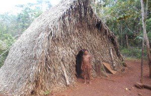 The Hoti in Venezuela and other Indigenous Amazon peoples depend on the forest for their survival. But their forests are being destroyed by illegal mining. © Eglée Zent/Survival