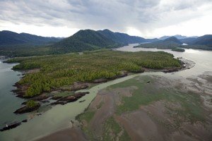 Photo from Skeena River First Nations