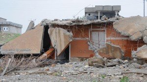 56c03c4cc36188715f8b45fe