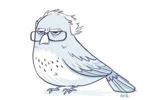 berniebird_DV
